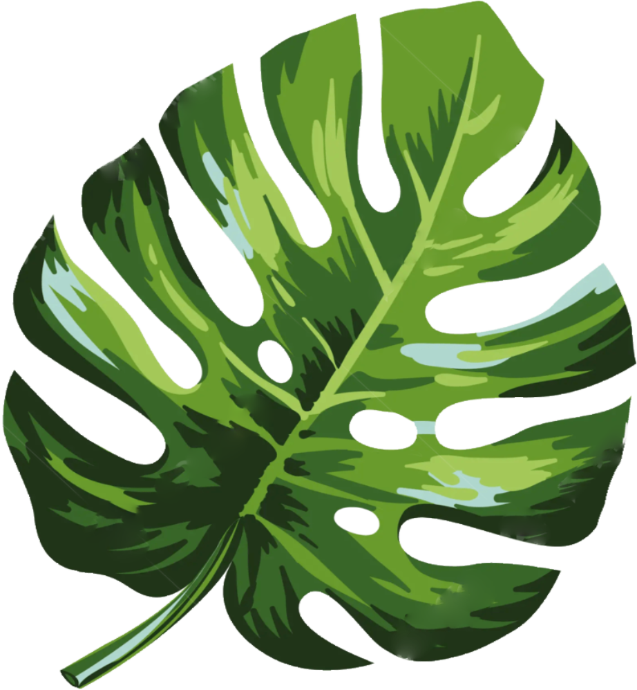 Hoja derecha